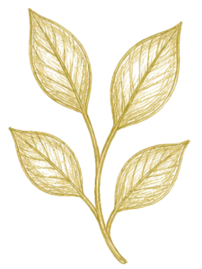 A drawing of a twig with 4 leaves - all in gold
